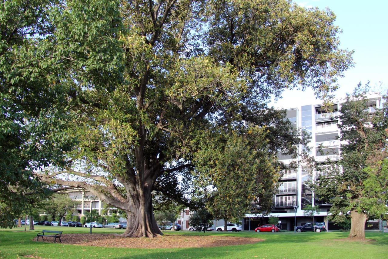 Adelaide Cbd Apartment - 3Br, 2Bath & Carpark エクステリア 写真